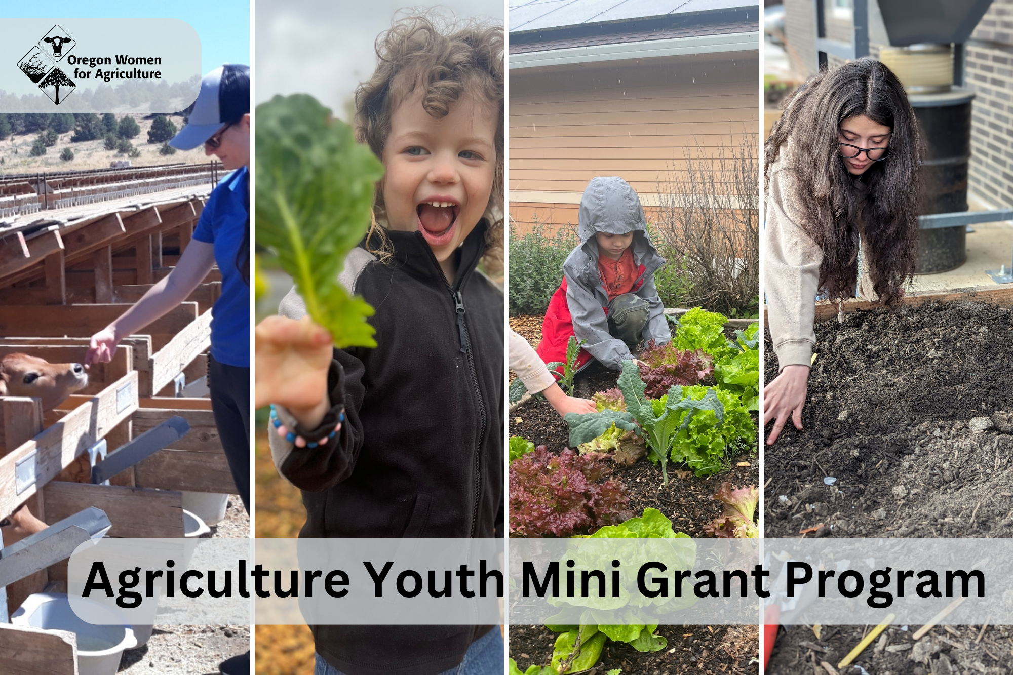 Four photos of kids in various agriculture settings with text over images "Agriculture Youth Mini Grant Program"<br />
