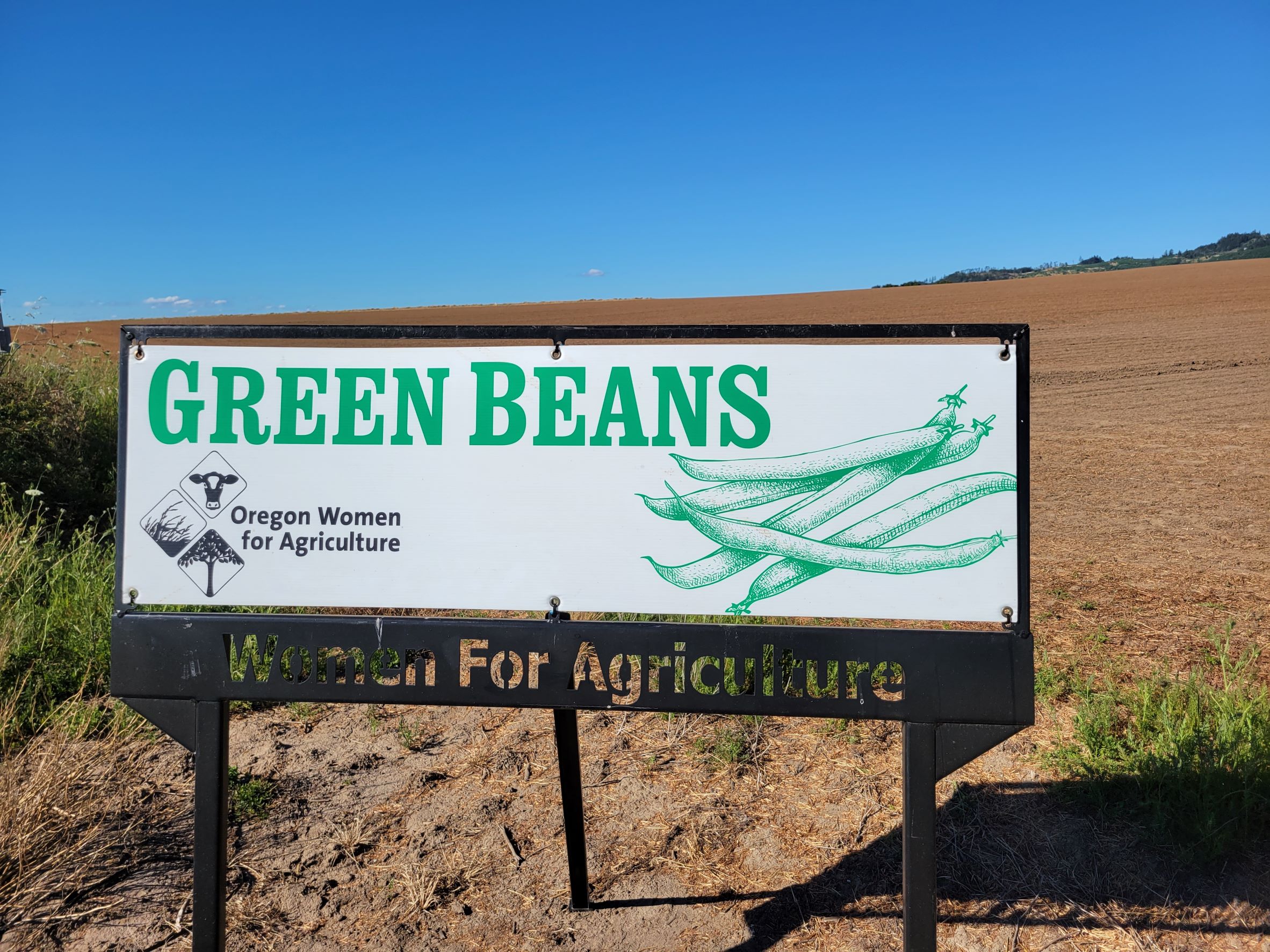 Sign in holder with a field behind it indicating the crop is green beans